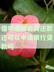 借呗逾期协商还款会影响申请银行贷款吗？可以分期多少期？