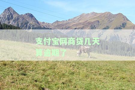 支付宝网商贷逾期多久被催收、电话催收、起诉及影响征信程度全解析