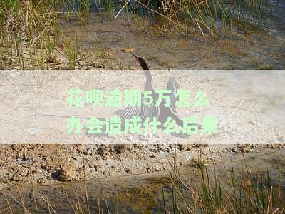花呗逾期5万怎么办会造成什么后果呢，警惕！花呗逾期5万元的严重后果及解决办法