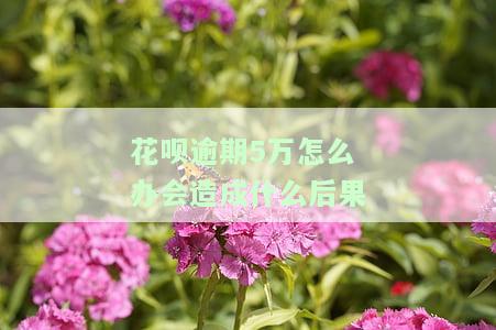 花呗逾期5万怎么办会造成什么后果-花呗逾期5万怎么办会造成什么后果呢