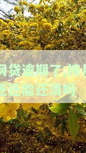 网贷逾期了,按月还还能还清吗-网贷逾期了,按月还还能还清吗怎么办