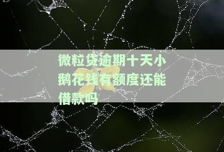 微粒贷逾期能申请小鹅花，如何解决微粒贷逾期问题：尝试申请小鹅花钱