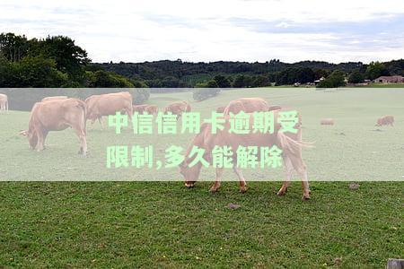 中信信用卡逾期受限制,多久能解除