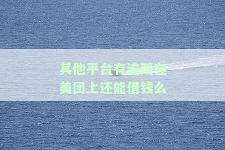 其他平台有逾期是否影响在美团上借款？安全吗？