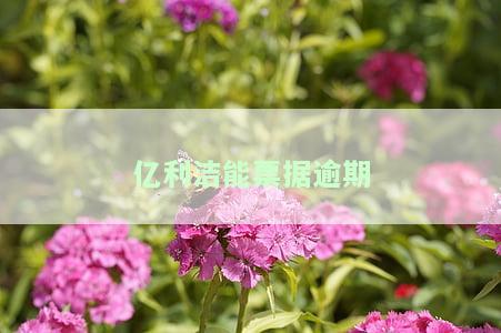 亿利洁能为什么一直在跌啊，揭秘亿利洁能持续下跌的原因