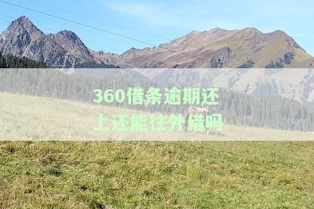 逾期还上还能往外借吗-逾期还上还能往外借吗知乎