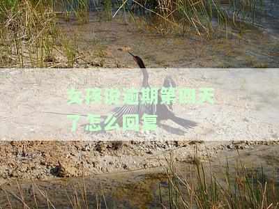 逾期了四天怎么办，逾期四天，如何解决？