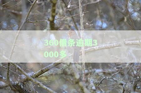 逾期多少钱会起诉，逾期还款多少金额会被起诉？