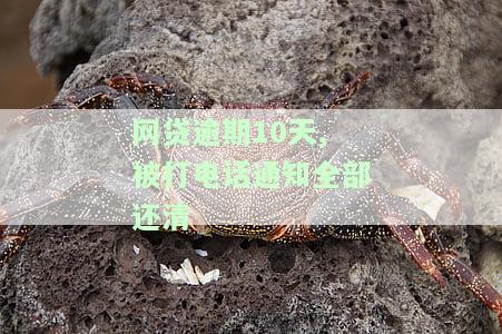 网贷逾期几天打电话，网贷逾期几天：电话催收策略解析