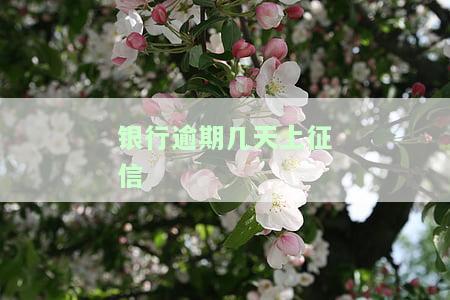 银行逾期几天上征信报告？影响、查询与消除方法全解析
