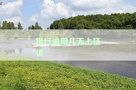 银行逾期几天征信会显示，理解个人信用：逾期几天后，银行记录将出现在您的征信报告中？