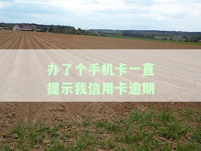 办了个手机卡一直提示我信用卡逾期了，该如何解决?