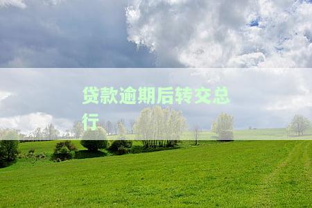 贷款逾期后转交总行：如何办理？手续是什么？是否会上征信？