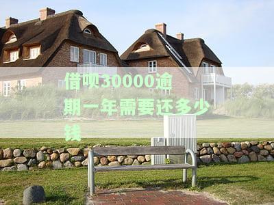 借呗3万逾期一年利息多少？可能面临哪些后果？
