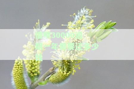 借呗30000逾期一年需要还多少钱-借呗30000逾期一年需要还多少钱呢