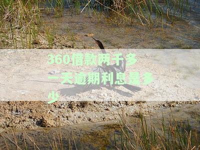 360借款两千多一天逾期利息计算方法及还款金额说明