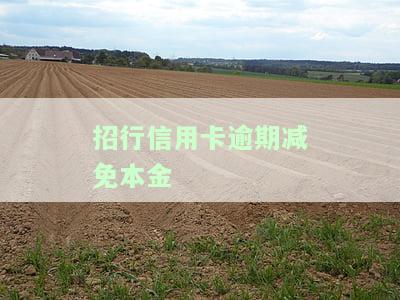 招行信用卡逾期能否减免本金？详解相关政策及条件
