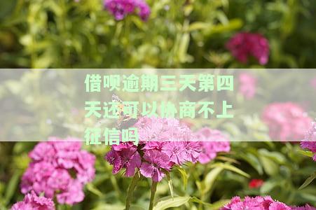 借呗逾期三天第四天还可以协商不上征信吗？如何解决？