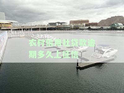 农村信用社贷款逾期多久会被冻结财产？影响与处理方式全解析