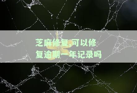 芝麻修复逾期有用吗？一次性修复所有逾期记录，恢复正常时间、安全性及效果解析