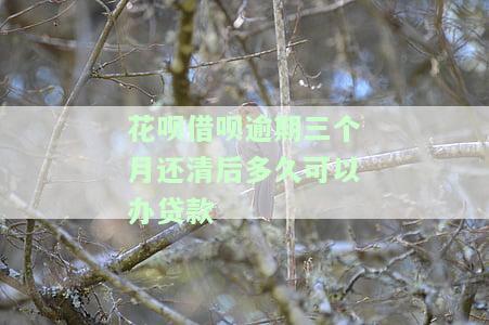 花呗借呗逾期三个月还清后多久可以办贷款-花呗借呗逾期三个月还清后多久可以办贷款手续