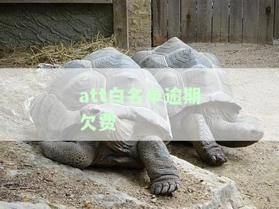 att白名单逾期欠费