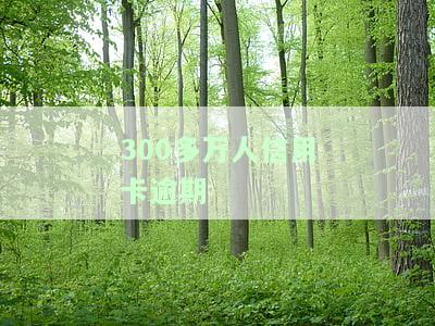 300多万人信用卡逾期了怎么办？逾期金额、是否影响征信及处理方法解析