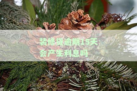 装修贷逾期后果严重：影响信用、高额罚息、可能被起诉，务必按时还款