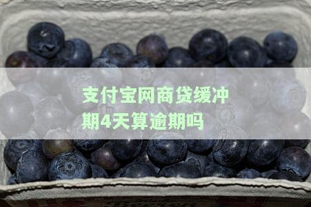 支付宝网商贷有四天宽限期，逾期如何处理？