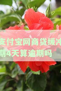 支付宝网商贷缓冲期4天算逾期吗-支付宝网商贷缓冲期4天算逾期吗怎么办