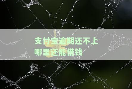 支付宝逾期实在还不起，最坏打算是什么？有什么办法可以解决？