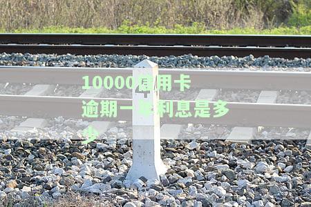 10000信用卡逾期一年利息是多少钱，如何计算10000元信用卡逾期一年的利息？