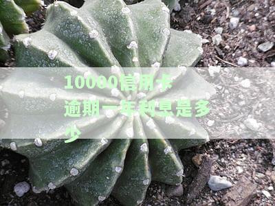 10000信用卡逾期一年利息是多少