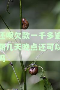 还呗欠款一千多逾期几天，能否宽限？