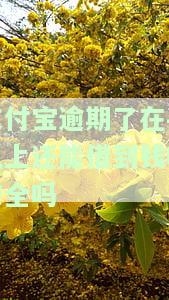 支付宝逾期了还可以借款吗，支付宝逾期后还能借款吗？影响有多大？