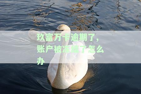 玖富万卡逾期会被法院起诉吗？借款逾期后是否真的会被告上法庭？