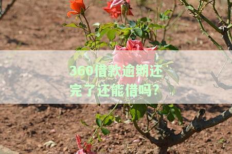 360借款逾期还完了还能借吗，360借款：逾期还款后是否能再次申请借款？
