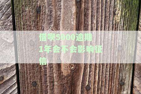 借呗5000逾期1年会不会影响征信-借呗5000逾期1年会不会影响征信记录