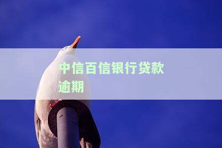 中信百信银行贷款逾期会怎么样，警惕！中信百信银行贷款逾期的严重后果