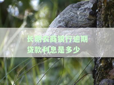 农商银行贷款逾期多久可起诉？影响及处理方法全解析