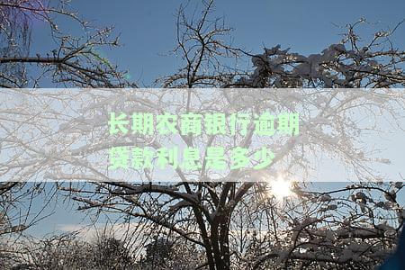 农商银行贷款逾期多久会上征信？影响及后果详解