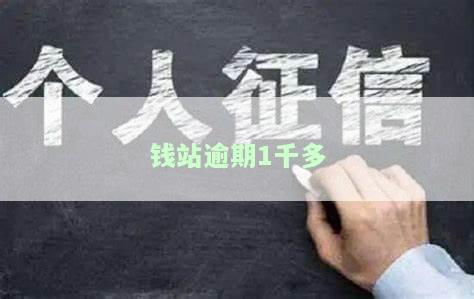 钱站逾期了，如何应对钱站逾期：避免罚息和信用受损的建议