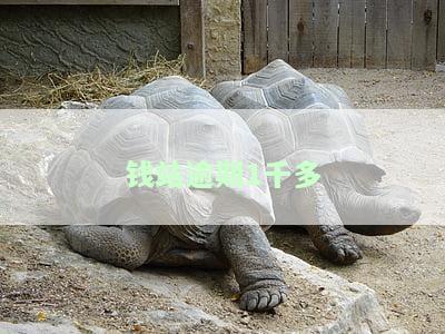 钱站逾期2020，警惕！2020年钱站贷款逾期问题严重，需谨处理