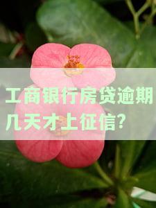 工商房贷逾期多久会收房子，房贷逾期多久会导致房产被收回？——工商房贷的处理方式解析