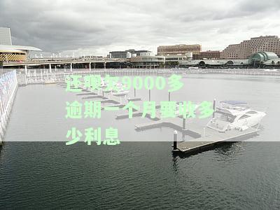 还呗欠9000多逾期一个月，利息多少？已还2000，还会被起诉吗？