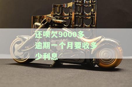 还呗9000元多少利息，计算还呗9000元的利息，你需要知道这些信息
