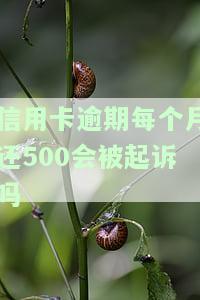欠信用卡每月还几百：是本金还是利息？该如何处理？