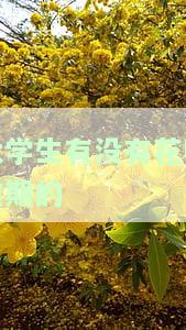 大学生有无花呗逾期记录？影响助学贷款申请吗？