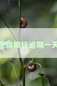 花旗银行逾期一天会怎么样，花旗银行：逾期一天会产生什么后果？