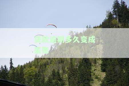 贷款逾期多久会变成不良，警惕！贷款逾期多久将被视为不良记录？